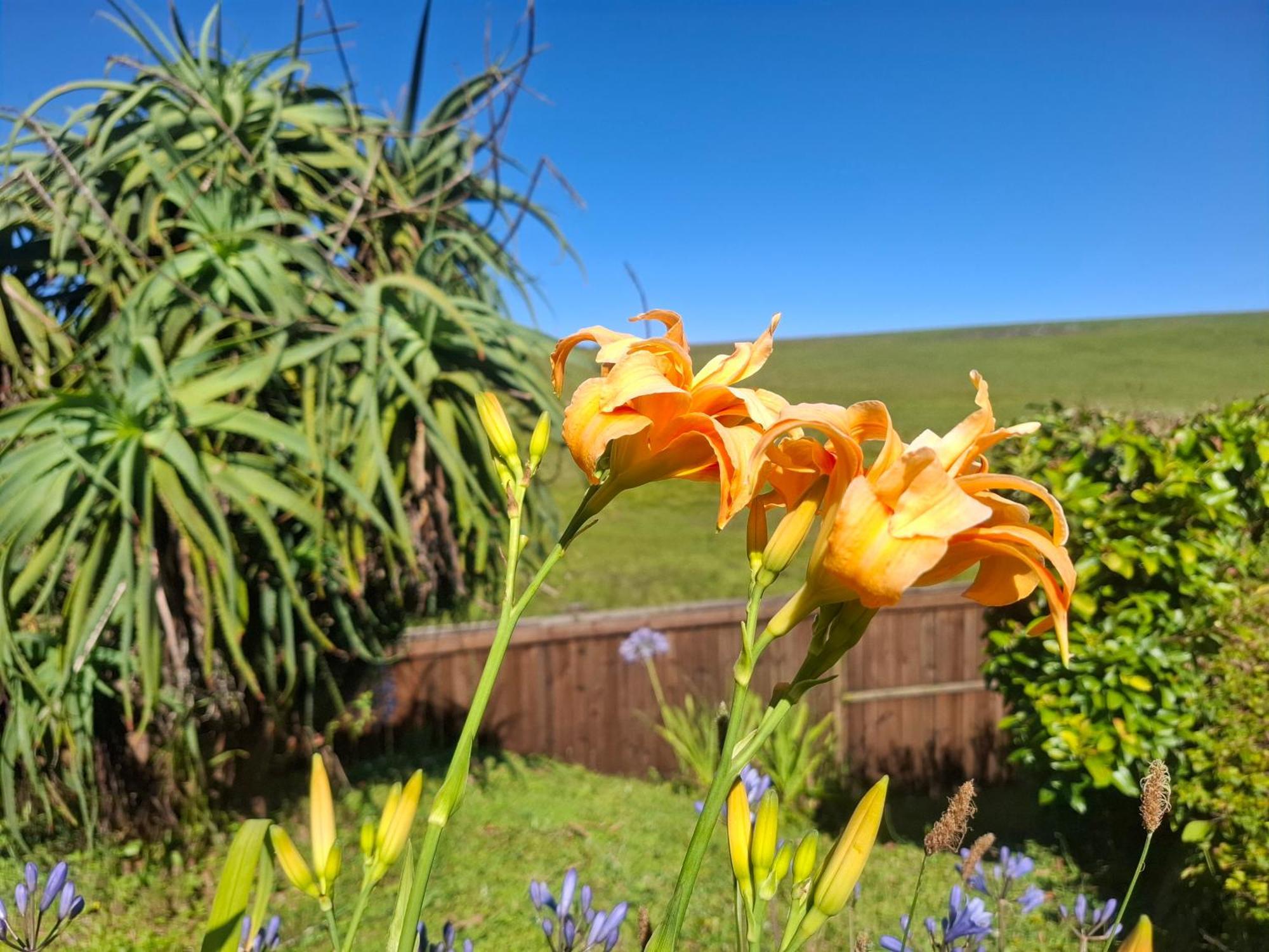 Paradise View Guesthouse Graskop Exterior photo